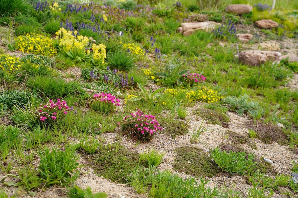 Blühendes im Frühjahr: Dieses Sandbeet besteht aus Nelken, Schlüsselblumen, Günsel und Fingerkraut zwischen Stauden wie Königskerzen, Edel-Disteln und Thymian.