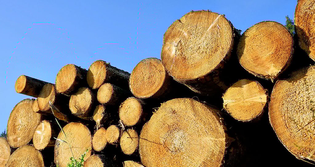 Wer auch mit Holz heizen kann, blickt dem kommenden Winter und der Gaspreisentwicklung entspannter entgegen.