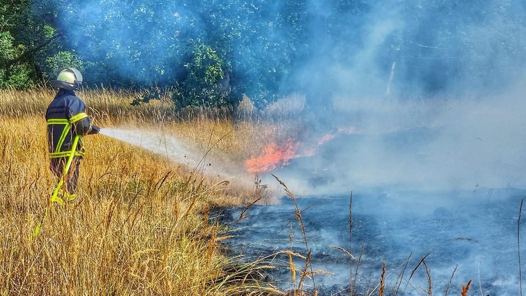Hitze und Trockenheit fordern die Burger Feuerwehr: Bei Niegripp musste Mittwoch ein Flächenbrand gelöscht werden.