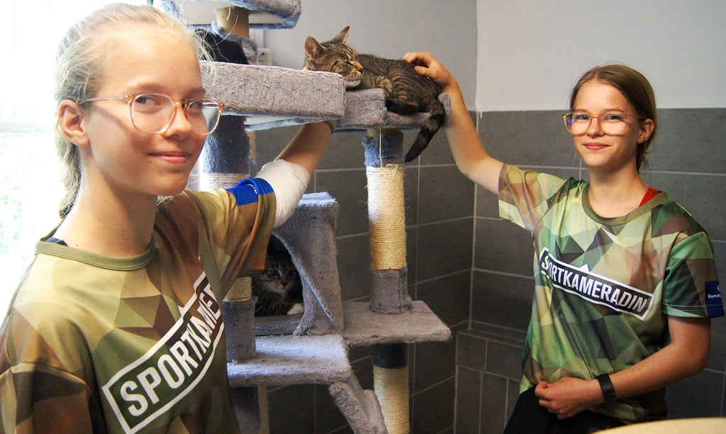 Die Zwillinge Lea und Mia Linde (14) aus Klein Ammensleben hatten große Freude daran, im Womirstedter Tierheim auszuhelfen. Dort wird gerade jede Hand dringend gebraucht, weil es sehr viele Katzen und sehr wenige Helfer gibt.