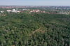 Die Dölauer Heide aus der Vogelperspektive. Abgestorbene Bäume und kahle Stellen sind gut zu erkennen.