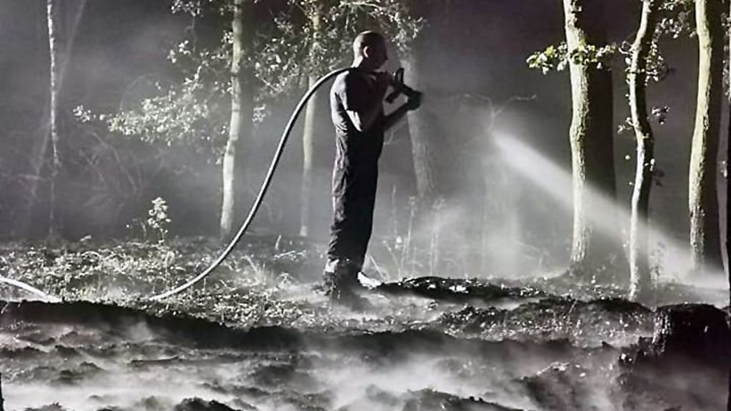 Ein Feuerwehrmann bei Nachlöscharbeiten im Wald an der Bahntrasse Tangerhütte-Demker im Juli.