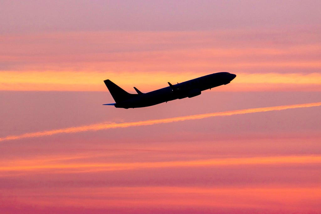 Eine Mutter und Ehefrau verstirbt unerwartet auf einem Flug von Hongkong nach Frankfurt. Die Familie musste die restlichen Stunden neben ihrer Leiche sitzen.