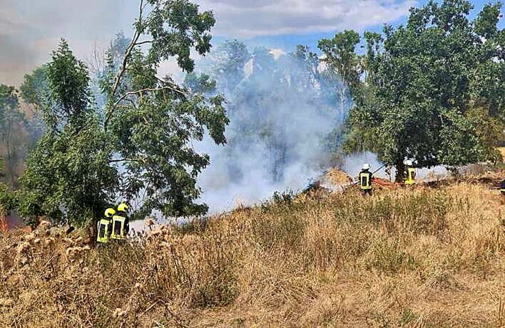 In Burgscheidungen ereignete sich am Mittwoch ein Brand, der auf einem abgeernteten Feld begann, sich ausbreitete und dann Teile eines Waldes erfasste.