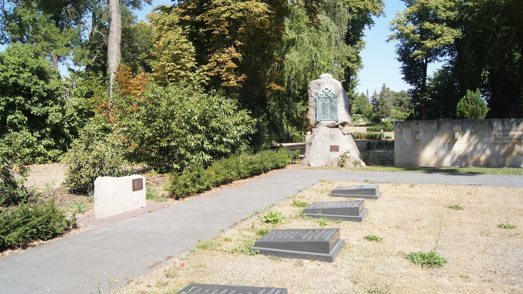 Trauriges Bild auf dem Wolmirstetder Friedhof : Die Gedenktafel (l.) wurde von einem Baum zerstört, der Adler auf dem Kriegerdenkmal gestohlen.