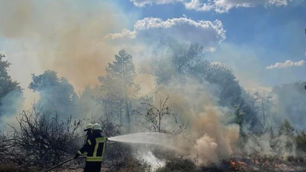 Ödlandbrand in der Bobbauer Straße in Wolfen