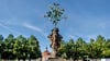  Die  Orangenbaum-Skulptur auf dem Marktplatz von Oranienbaum gehört auch in die Eröffnungsbilanz der Kommune. 