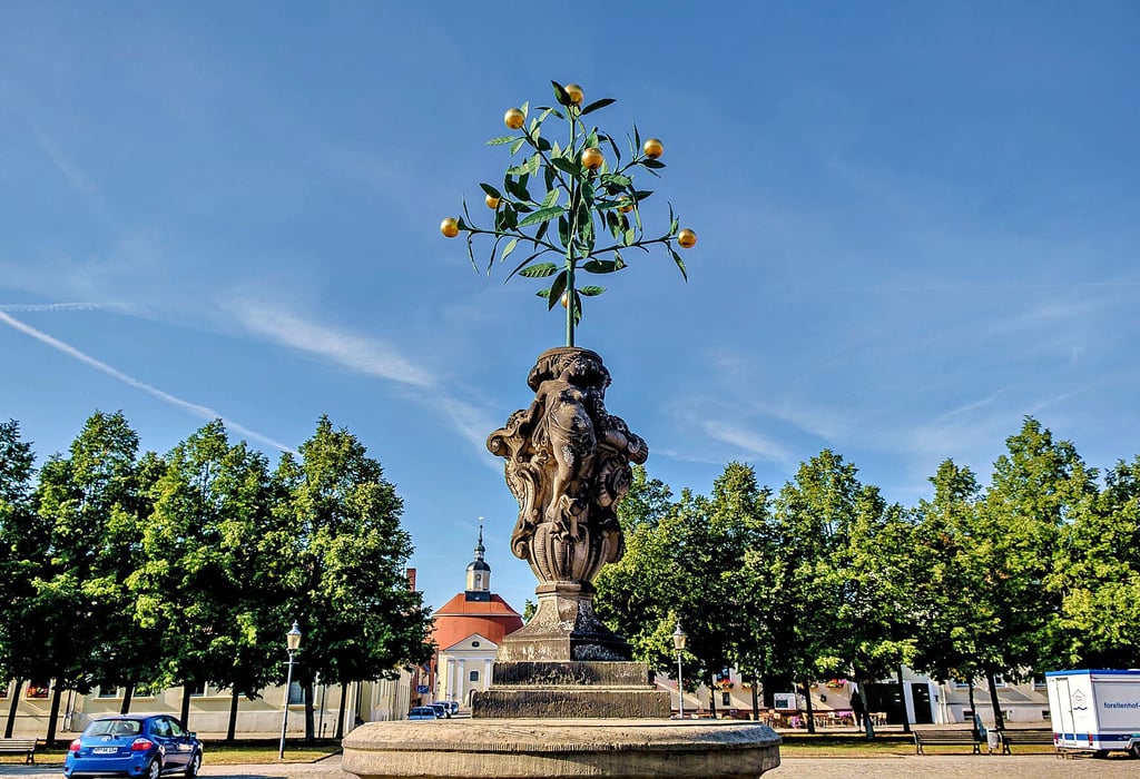 Die Orangenbaum-Skulptur auf dem Marktplatz von Oranienbaum gehört auch in die Eröffnungsbilanz der Kommune.
