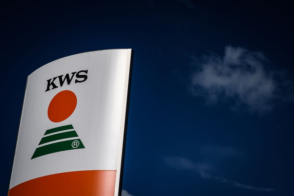 Das Logo des Pflanzenzüchtungs- und Biotechnologie-Unternehmen KWS Saat SE ist zu sehen.