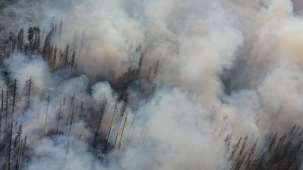 13 Hektar Wald brennen laut Landkreis im Oberharz.