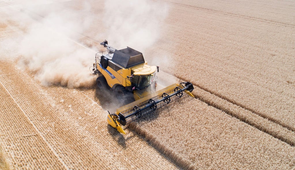 Ein Landwirt erntet mit Hilfe eines Mähdreschers bei heißem Wetter ein extrem trockenes Weizenfeld.