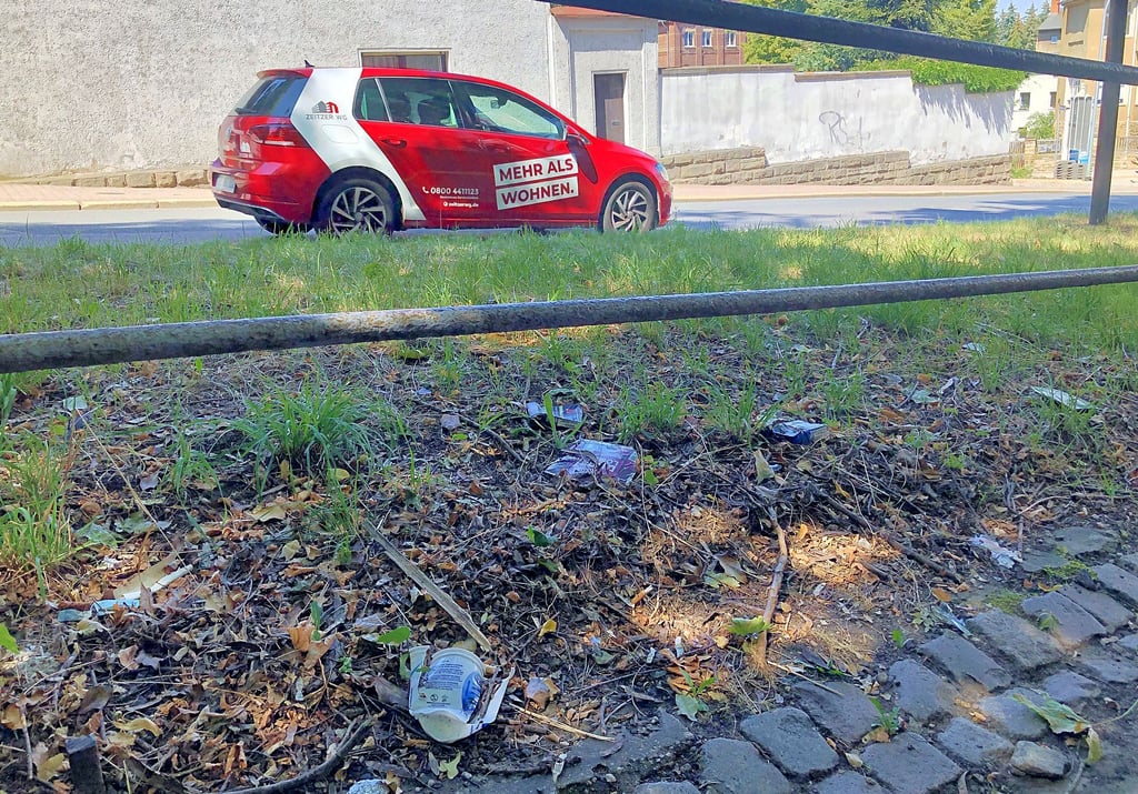 Müll am Wendischen Berg - so verstreut liegt er von unten bis zur Fußgängerbrücke wie ein Teppich.