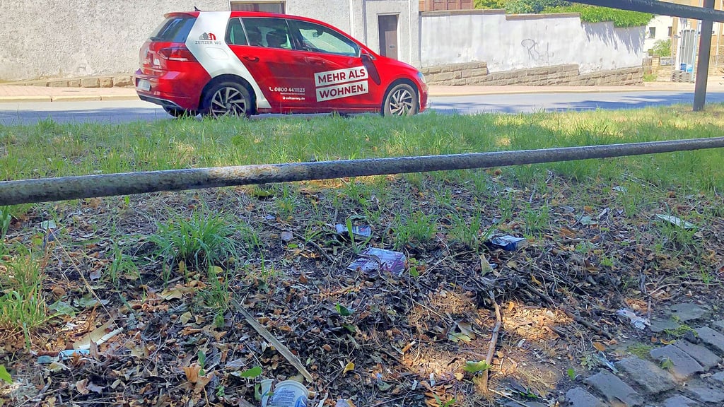 Müll am Wendischen Berg - so verstreut liegt er von unten bis zur Fußgängerbrücke wie ein Teppich.