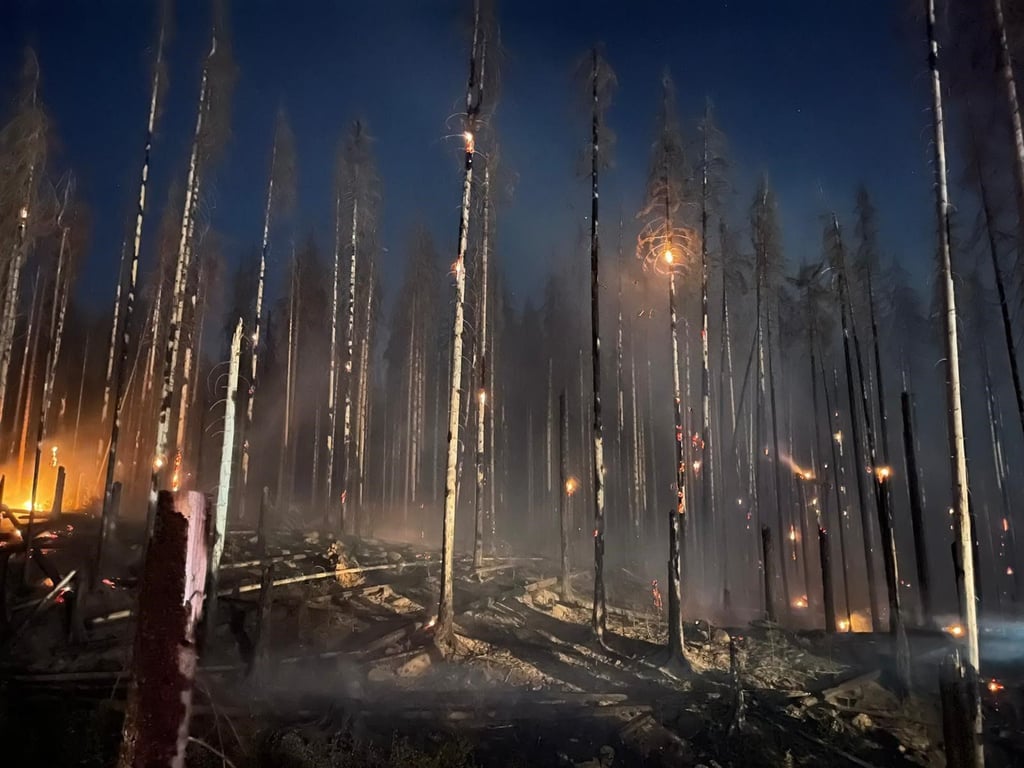 Seit Donnerstag wütet im Nationalpark Harz nahe Schierke ein Waldbrand.