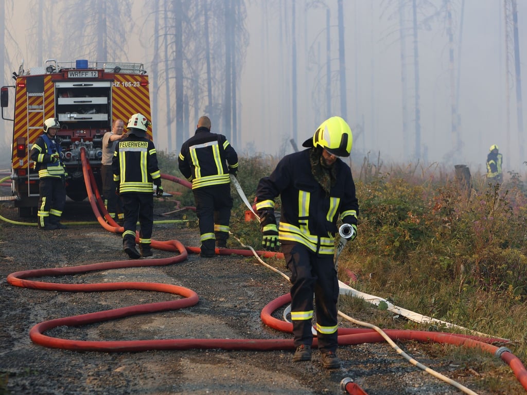 Rettungskräfte der Feuerwehr bekämpfen einen größeren Waldbrand in Schierke.