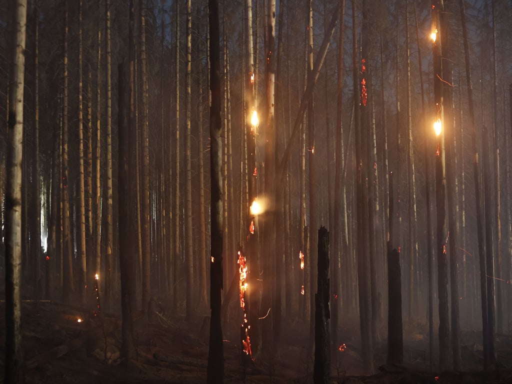 Flammen lodern in der Nacht im Nationalpark Harz bei Schierke. Seit Donnerstag brennt eine größere Waldfläche im Nationalparkgebiet Harz.