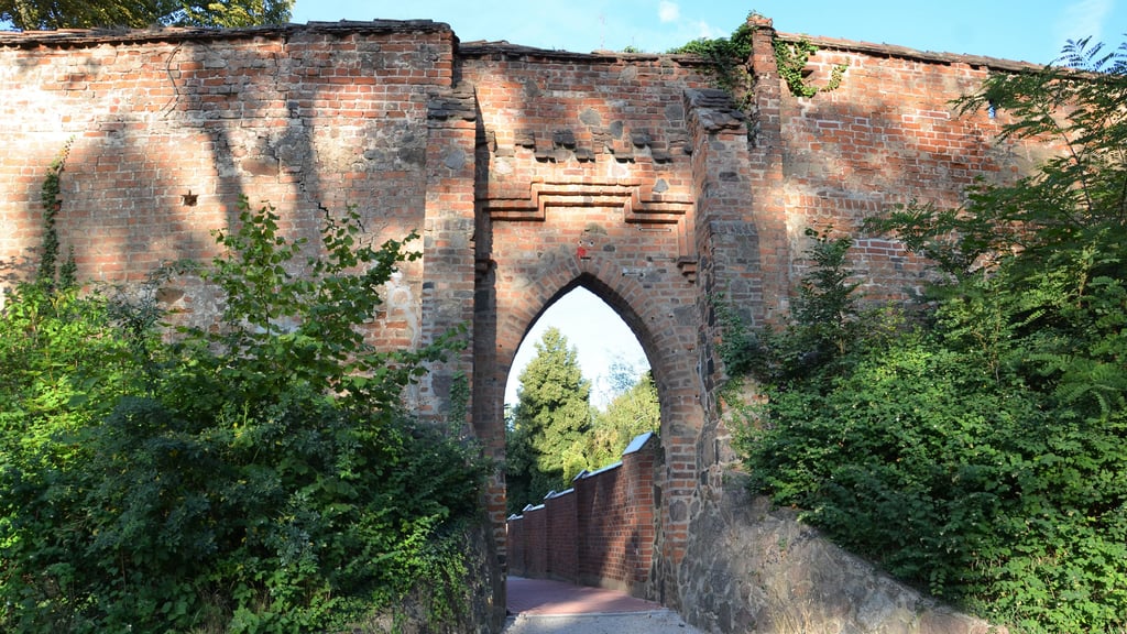 Die Zerbster Stadtmauer weist an verschiedenen Stellen Schäden auf. Die Elsterpforte am Weinberg soll noch 2022 gesichert werden.