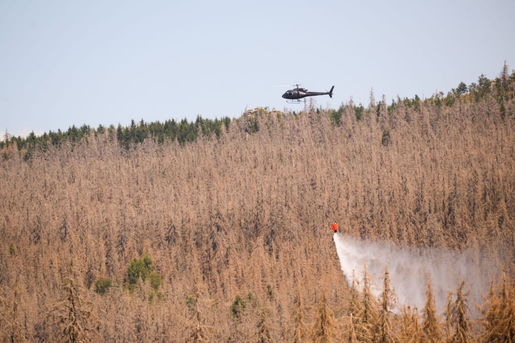 Erst am Freitag bekämpften Löschhubschrauber im Harz erfolgreich den Waldbrand.