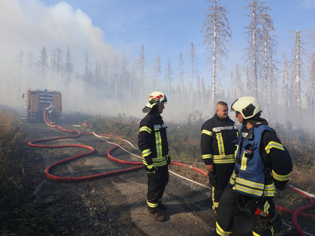 Rettungskräfte der Feuerwehr bekämpfen einen größeren Waldbrand in Schierke, der am Donnerstag ausgebrochen ist.