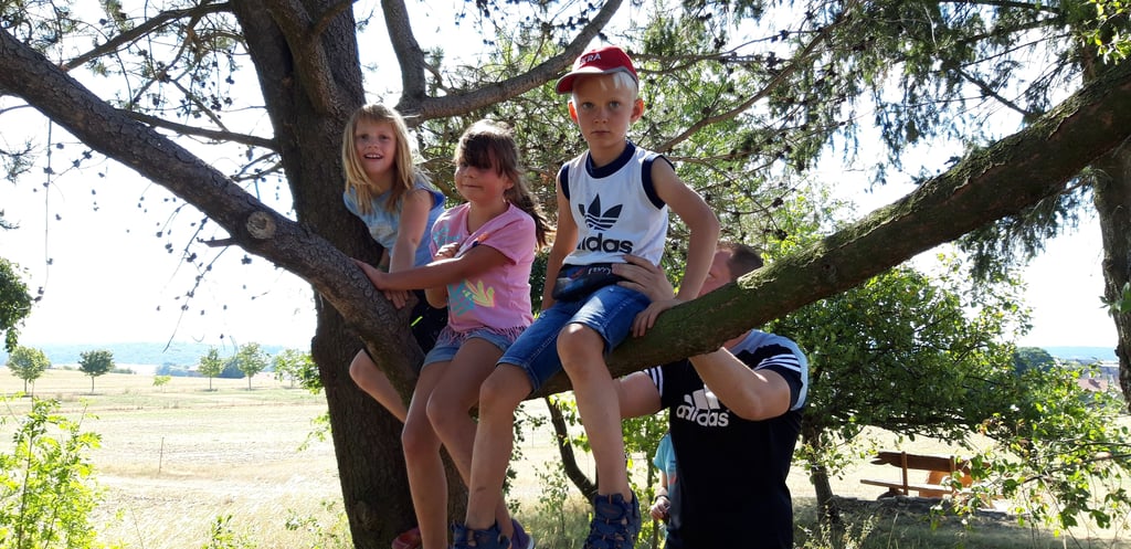 Während der Ferienspiele beim Harzklub-Zweigverein Hayn dürfen die Kinder auch mal auf einen Baum klettern - unter Aufsicht, versteht sich.