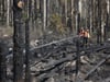 Verbranntes Holz liegt in den Wäldern des Einsatzgebietes.
