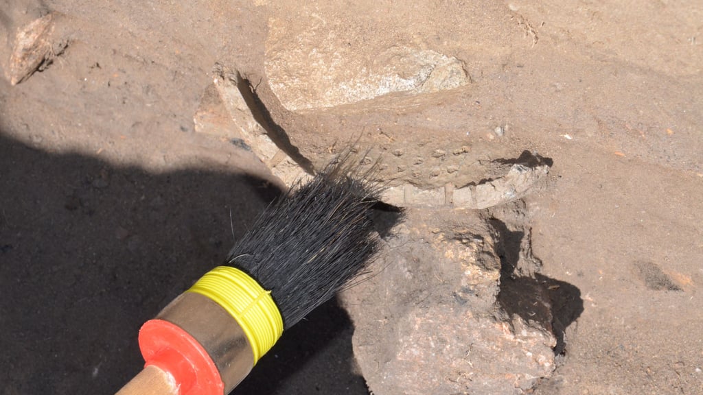 Beim Sommercamp 2022 legten die Jungen Archäologen der Altmark bei Rockenthin einen knapp 2000 Jahre alten, gut erhaltenen Haushaltsgegenstand frei. Ein seltener Fund.