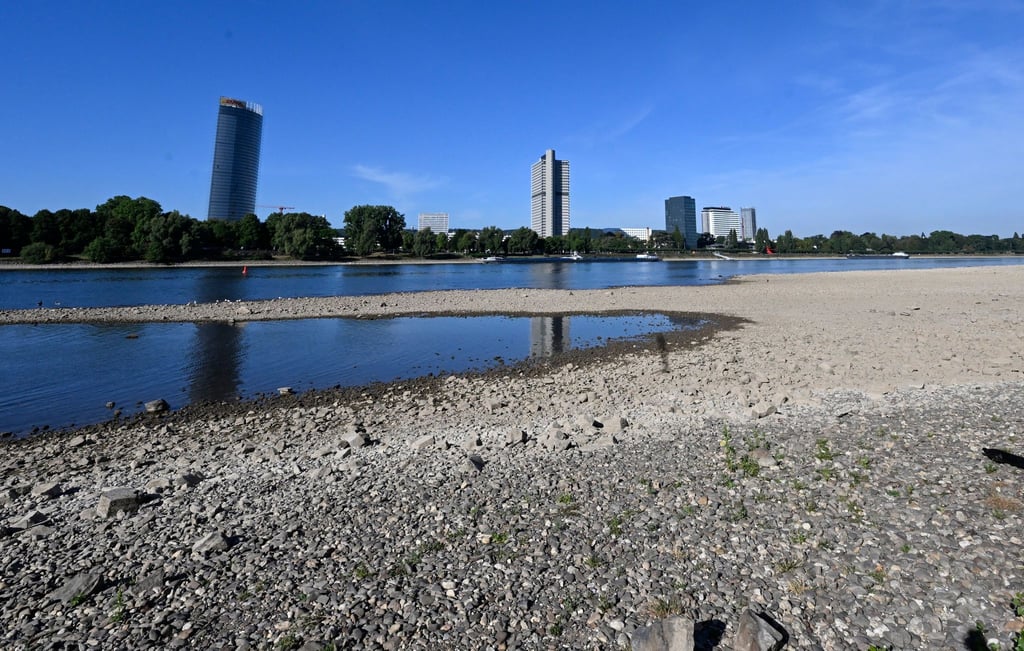 Der Rhein hat derzeit wenig Wasser - so wie hier in Bonn.