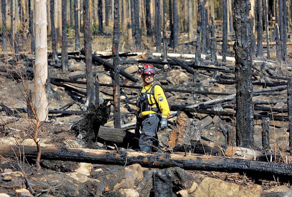 Hunderte Feuerwehrleute kämpften in der vergangenen Woche gegen den Waldbrand am Brocken, darunter auch Einsatzkräfte einer Waldbrand-Spezialeinheit.