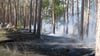 Über 10 Hektar Waldfläche brannten bei Beetzendorf.