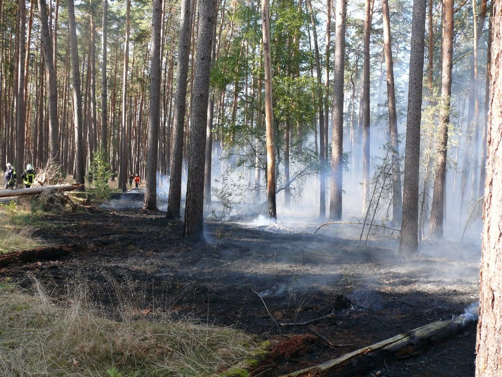 Über 10 Hektar Waldfläche brannten bei Beetzendorf.