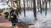 So wie nun beim Waldbrand bei Gommern kommt es bei den Einsätzen auch auf die Wehrleiter es, wenn es um erfolgreiche Feuerwehrarbeit geht. Die bedarf einer guten Ausbildung.