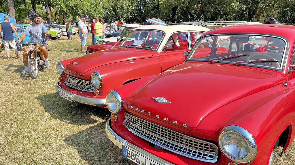 Leuchtend rot und auf Hochglanz poliert: Die alten Wartburgs aus den 1960-er Jahren zogen die Besucherblicke auf der Festwiese in Biere auf sich.
