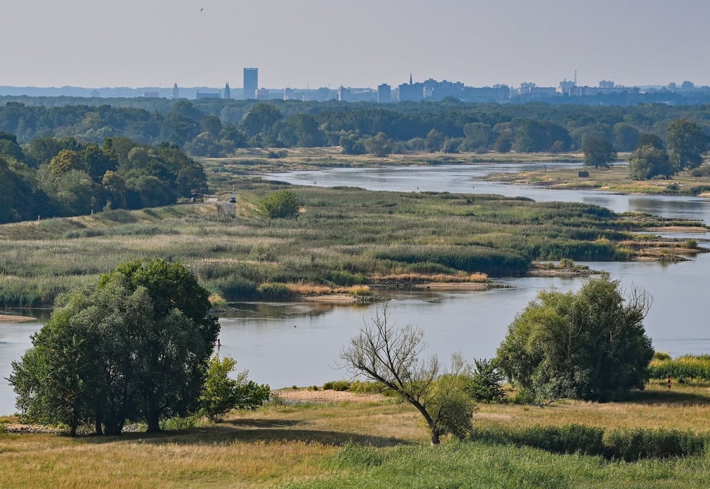 Blick auf den deutsch-polnischen Grenzfluss Oder in Richtung Frankfurt (Oder).