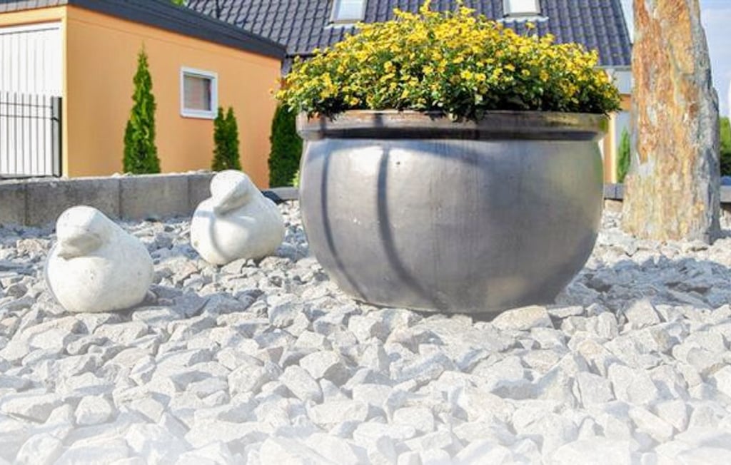 Sogar die Vögel in diesem Schottergarten sind aus Stein.