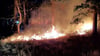 In Genthin brannten im August mehrere Waldgebiete. Die Feuerwehren rückten  so oft  aus, wie noch nie.  