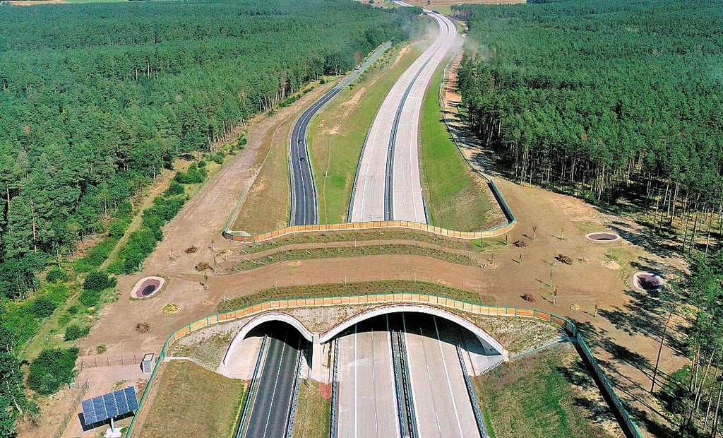 Wegen zahlreicher Maßnahmen für den Naturschutz, wie der Wildtierüberführung zwischen Colbitz und Dolle, ist die Nordverlängerung der A14 schon vor ihrer Fertigstellung als grünste Autobahn Deutschlands betitelt worden.
