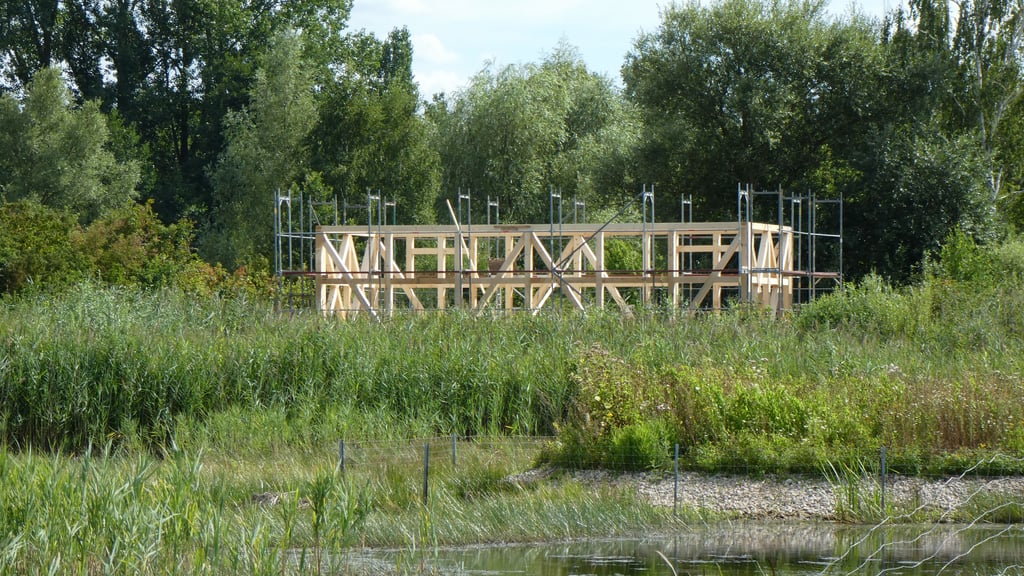 Seltene Libellen und Vögel können aus der Höhe eines neuen Aussichtsturms bei den Brietzer Teichen beobachtet werden. Foto: