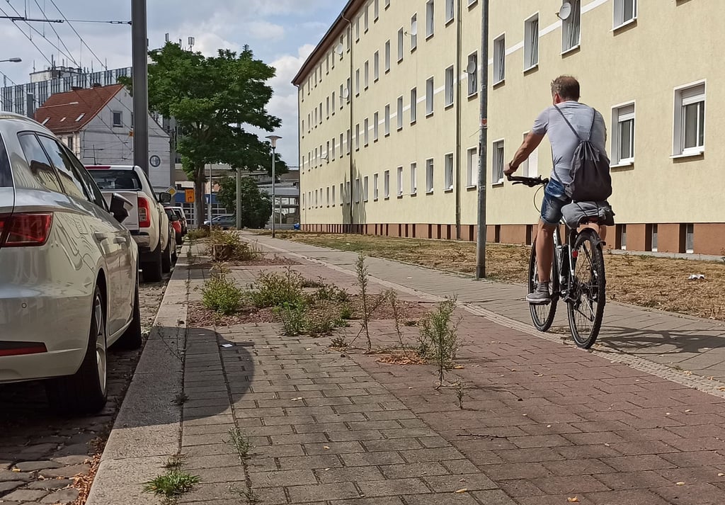 Der schmale Radweg in der Stendaler Straße in Magdeburg-Alte Neustadt.