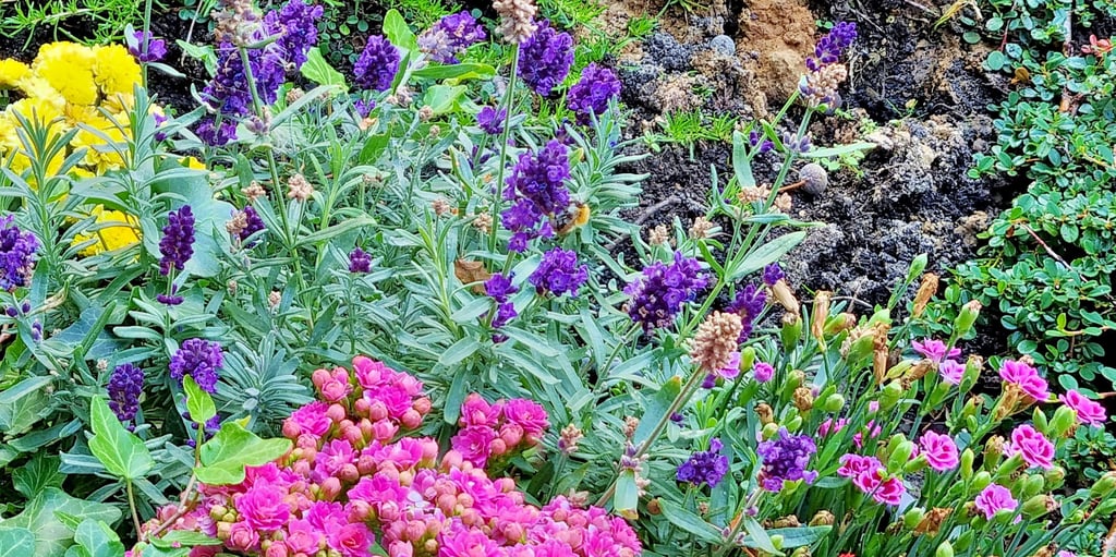 Soll eine Pflanze blühen oder Samen hervorbingen, muss sie vorher bestäubt werden. Doch Bienen und anderen bestäubenden Insekten fehlt immer öfter das Nahrungsangebot. 