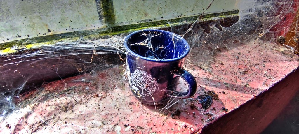 Generationen von Spinnen haben diese Tasse zu ihrem Zuhause gemacht.
