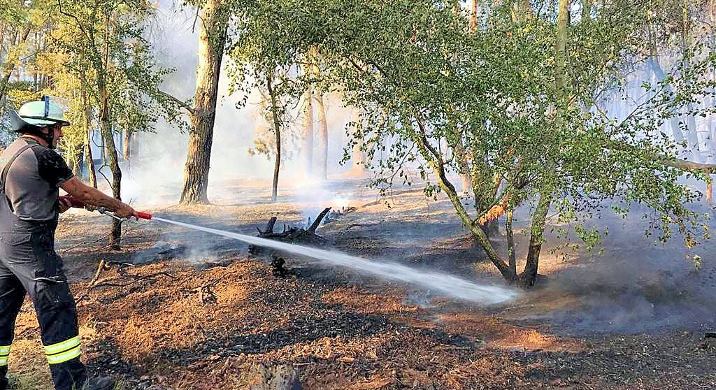Rund zehn Hektar Wald sind nahe Hohengöhren verbrannt. Noch immer werden Glutnester befürchtet.
