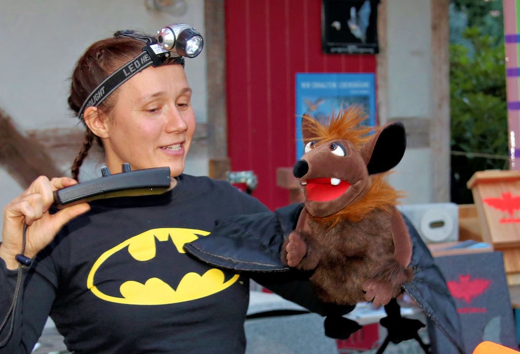 Nabu-Fledermausexpertin Anja Bäthge erklärte bei der ersten Bat-Night 2021 mit einer Plüschfledermaus die Funktionsweise der Ultraschallgeräte.