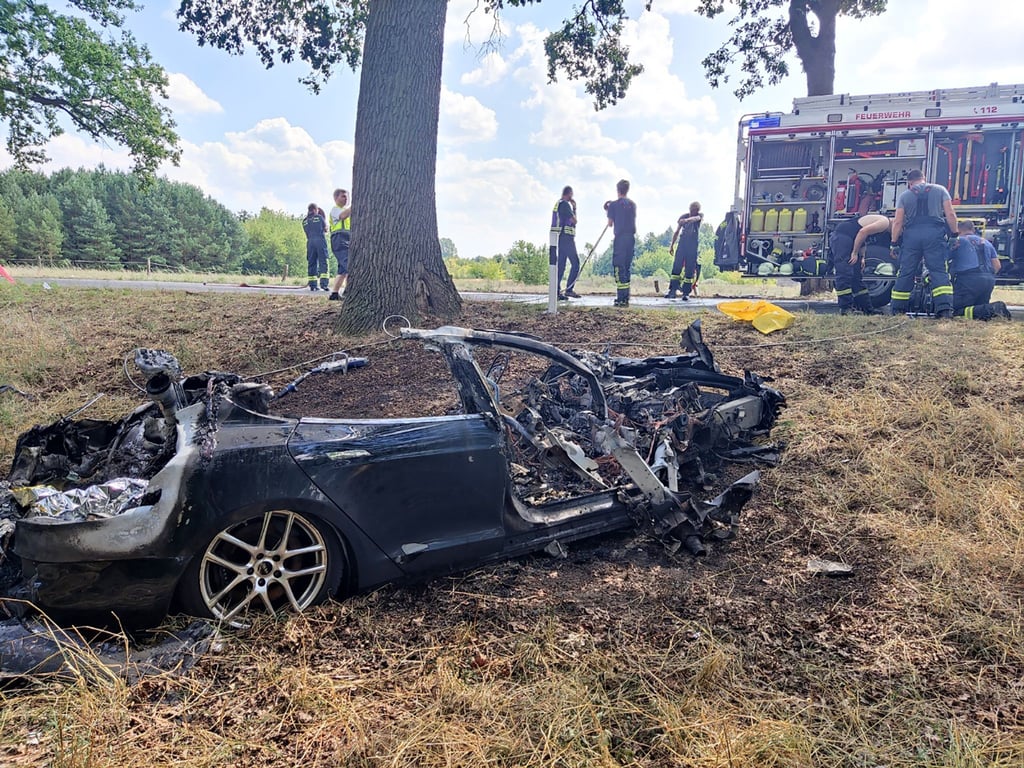 Ein ausgebranntes Elektroauto liegt am Strassenrand.