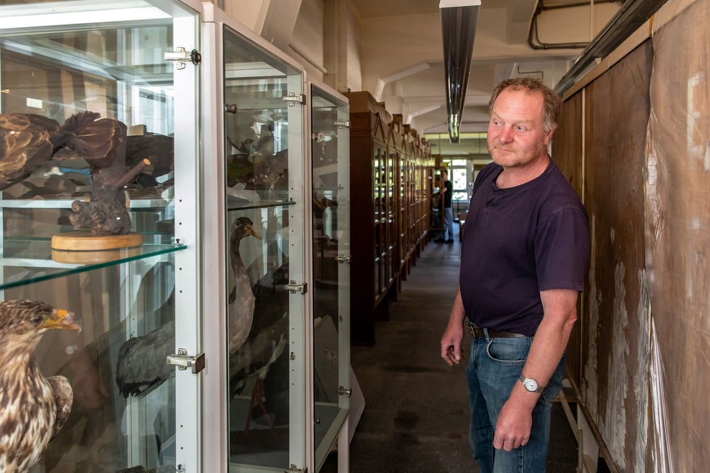 Bernhard Just leitet das Naumann-Museum in Köthen, das während der Bauarbeiten am Schloss in einem Depot unterkommt.