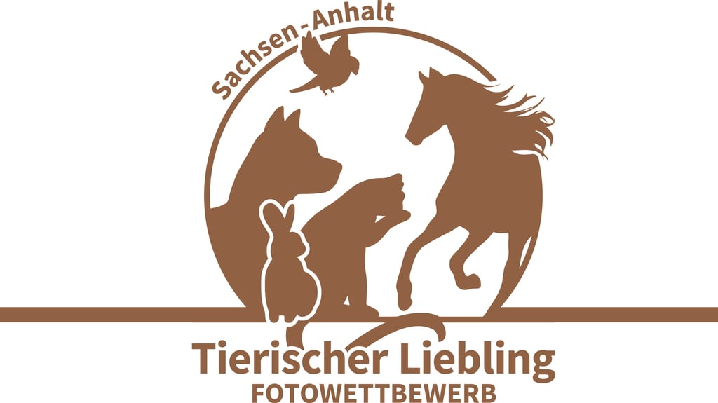 "Tierischer Liebling" gesucht: Machen Sie mit bei unserem Fotowettbewerb.