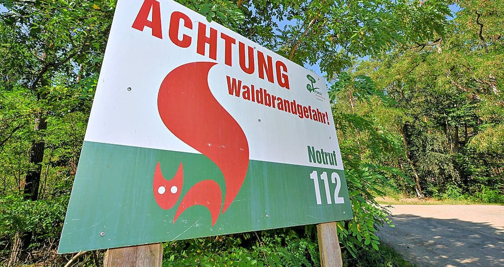 Die Waldbrandgefahr in Anhalt-Bitterfeld ist leicht gesunken.