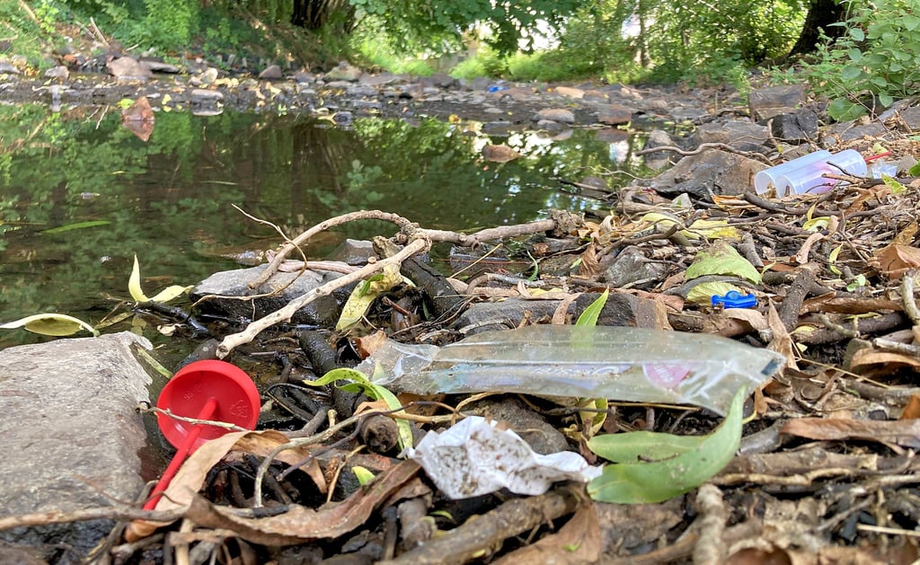 Durch den niedrigen Wasserstand in der Ihle wird all jener Müll sichtbar, der im Burger Stadtgebiet entsorgt wurde. Der Fluss hat derzeit Niedrigwasser. Das heißt, dass er wegen der anhaltenden Trockenheit in diesem Sommer nur wenig Wasser führt.