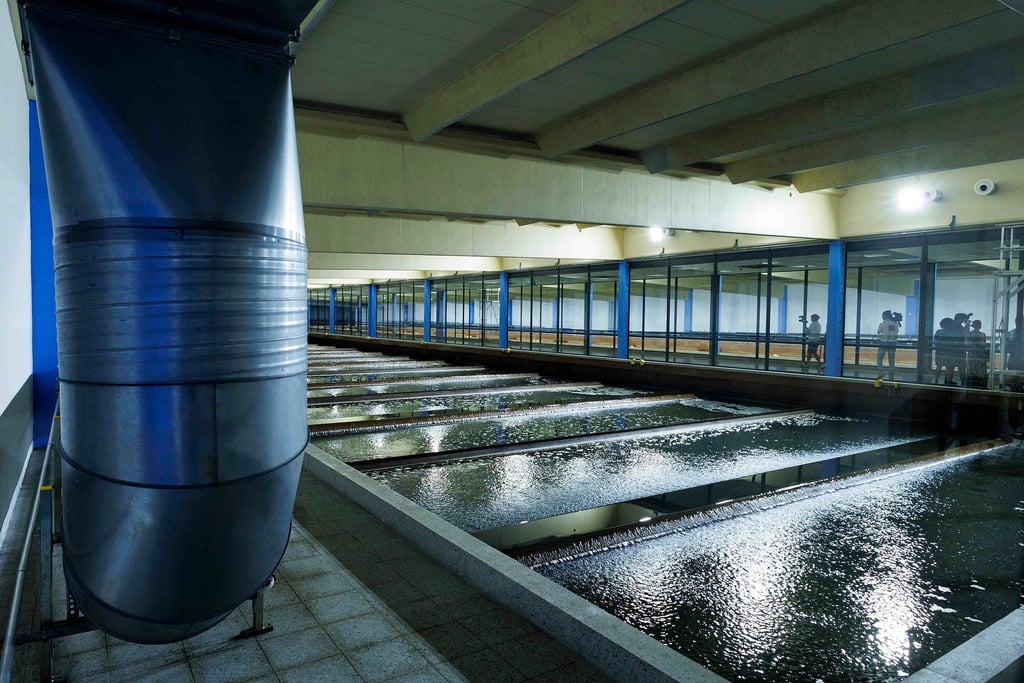 Wasser steht in der Filterhalle im Wasserwerk Tegel.