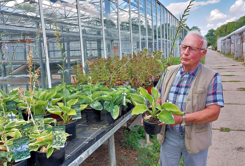 Horst Braune ist Chef der Glücksklee Blumen Gartenbau GmbH Halberstadt.