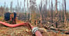 Was der Waldbrand im Nationalpark Harz übrig gelassen hat – ein Meer verkohlter Baumstümpfe im Bereich Knaupsholz bei Schierke. 
